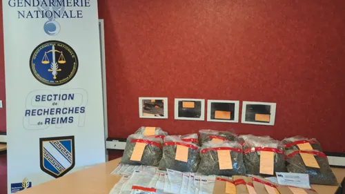 Dix kilos de drogue et des armes saisis